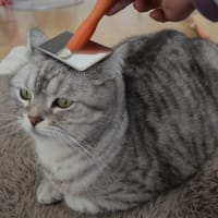 お尻向ける時。。