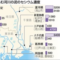 ■memo / 東京都　荒川　隅田川　河泥　測定結果　環境省