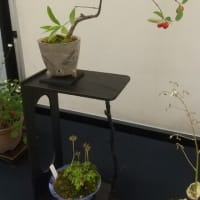 堺市緑化センターにて