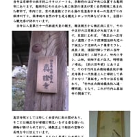 眞證寺です