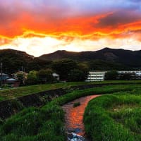 急流が夕日に染まって　（６月）