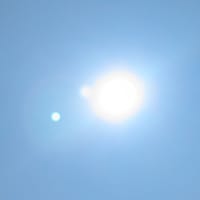 酷暑☀️