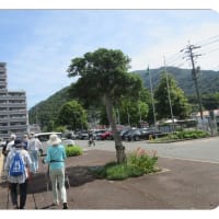 ２　安佐北ノルディック・ウォーク392　　護岸道路へと