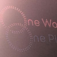 EXPO2025(大阪関西万博)訪問記～緑の目線で