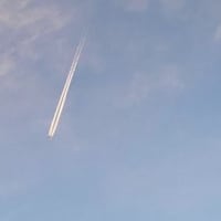 苦難にある者たちの告白