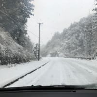 久々の大雪で