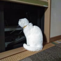 臭う?