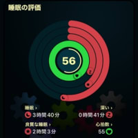 不精したら寝られんかった