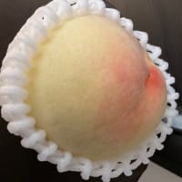 岡山の桃頂きました。