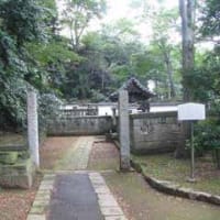 石の亀（喜多院）