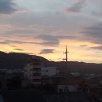 2025年6月26日（木）曇のち雨。