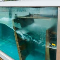 東海大学海洋科学博物館 1F　津波実験水槽