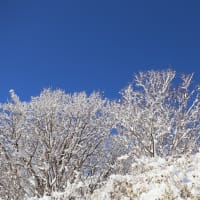 真冬の思い出　大倉山ジャンプ場2