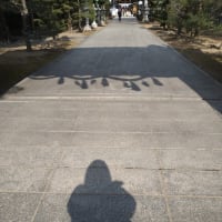 今年もよろしくお願い申し上げます。