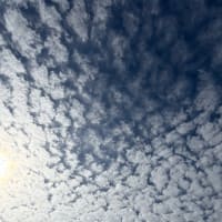 おはようございます