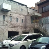 綺麗な家発見