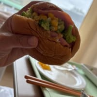 プレート抜去手術