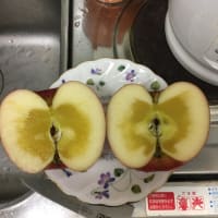 蜜りんご