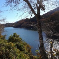 大春日和の西富士サイクリング&おまけの扇山（未遂）
