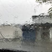 昨日午後は今年2回目の雷雨