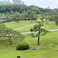 お薦め散歩：浜離宮恩賜庭園