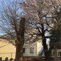 桜🌸ラブホ隣の神社