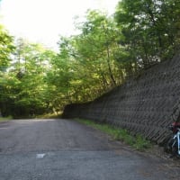 自転車で行く簗谷山登山～2024年春～その２