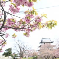 連休ドライブ道南の旅　その２…松前編