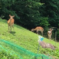今日いち-2025年6月27日