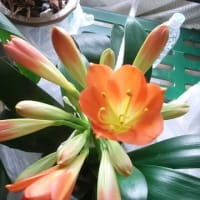 ロバーツ監督さんの　暖かさが伝わってきますね、、、