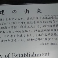東京都世田谷区奥沢にある「九品仏浄真寺」！第二弾！第一弾も良かったね！