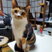久しぶりの投稿～