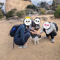 【L養成】王子が岳　こるみまpt