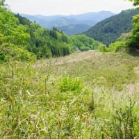 満月＆宇陀の山郷へ