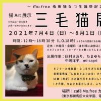 13年 平成25年 新月 満月カレンダー 日食 月食 惑星含む つぶつぶタンタン 臼村さおりの物語 13年 平成25年 新月 満月カレンダー 日食 月食 惑星含む つぶつぶタンタン 臼村さおりの物語
