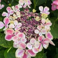 これまでたくさんの方に「救われました」「心が軽くなりました」と言っていただけたことが、今の私の支えです。 