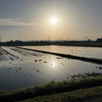 目標の12分台