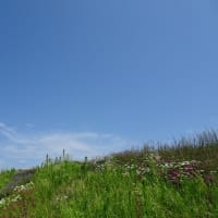 続　大阪・関西万博に行ってきました。
