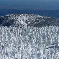 蔵王温泉スキー場　スノーボードツアー2024　5-4