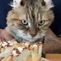 お誕生日♬