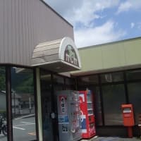 食