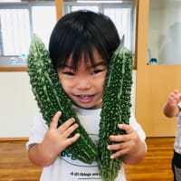 お散歩
