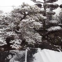 富山での思い出　積雪の巻