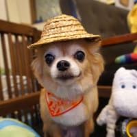 【２０２５年７月１４日・クララ】
