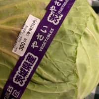 今日いち-2025年1月12日