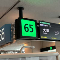 6月の出張