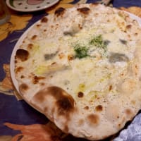 実家餃子といつもの定点観測