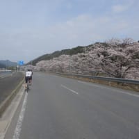 ゆるっとサイクリング～春