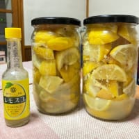 🍋塩レモン＆🍋レモスコ