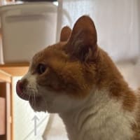 今日の水滴